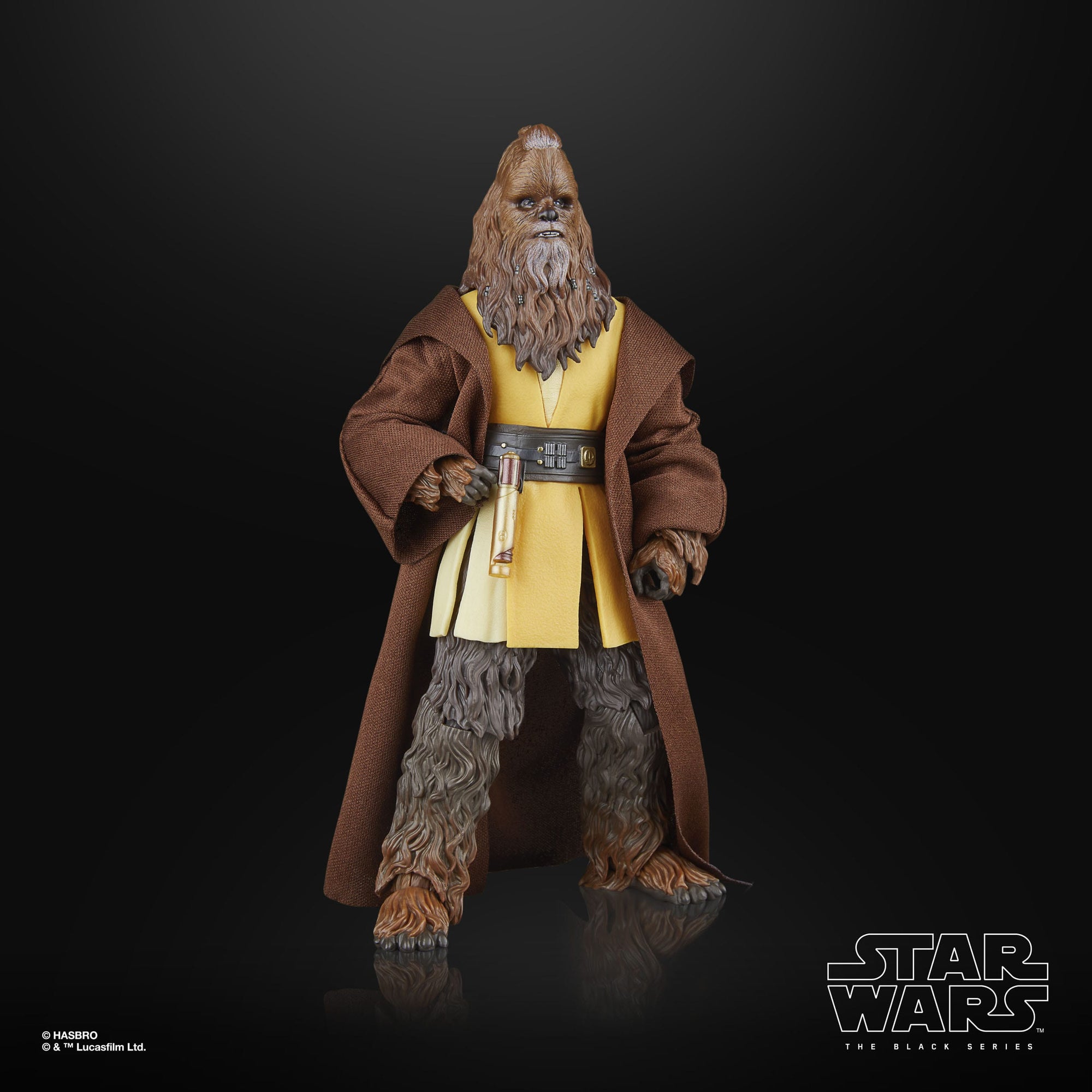 Jedi Master Kelnacca (Nr. 09) - The Acolyte