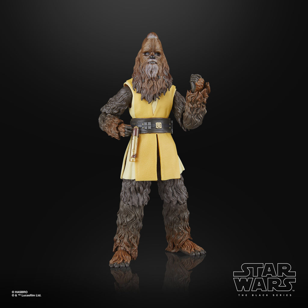 Jedi Master Kelnacca (Nr. 09) - The Acolyte