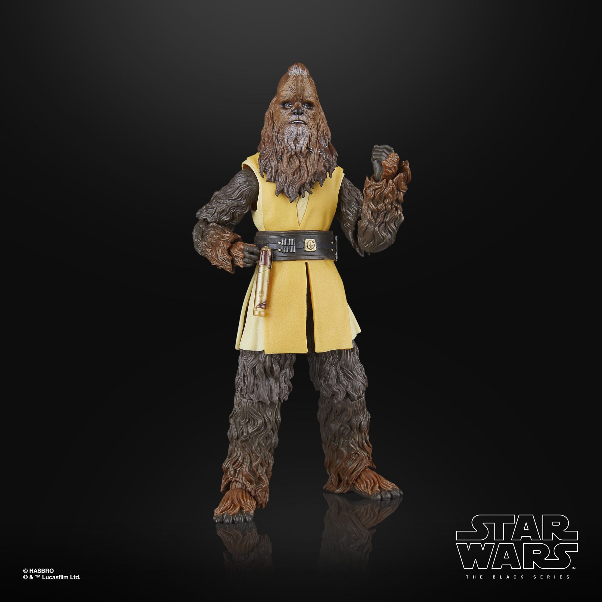 Jedi Master Kelnacca (Nr. 09) - The Acolyte