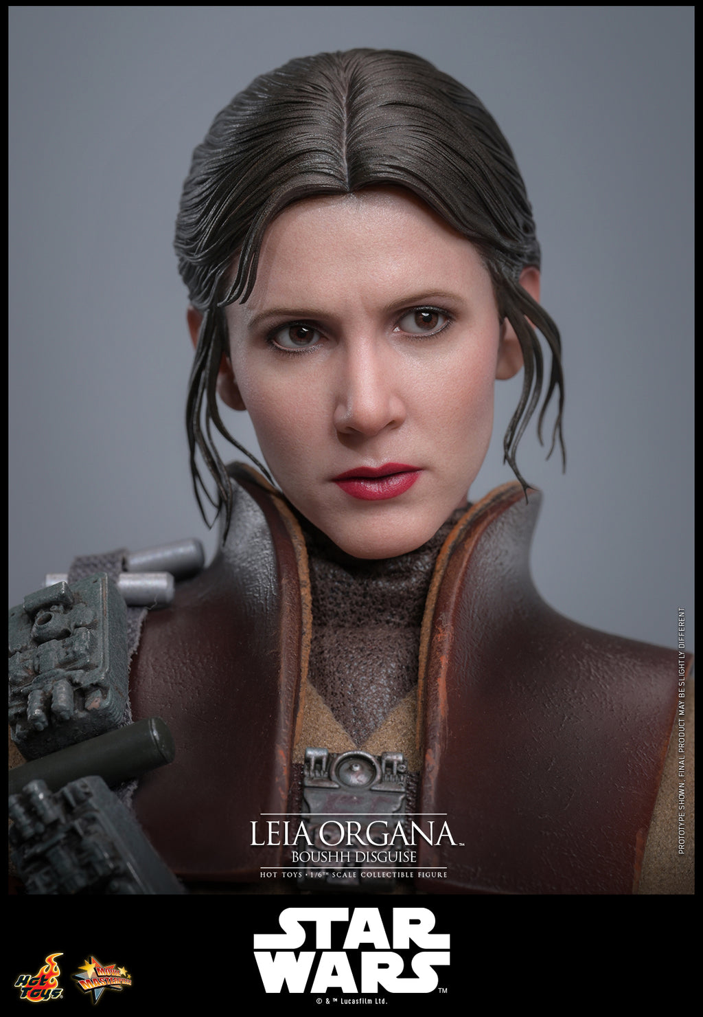 Leia Organa (Boushh Verkleidung)
