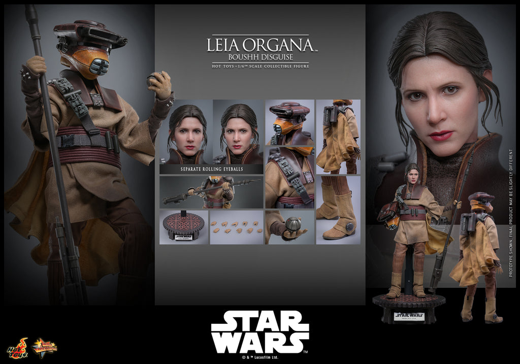 Leia Organa (Boushh Verkleidung)