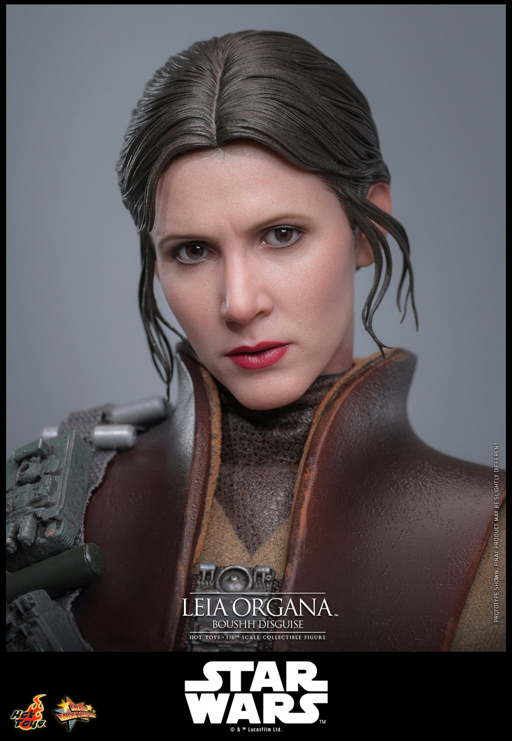 Leia Organa (Boushh Verkleidung)