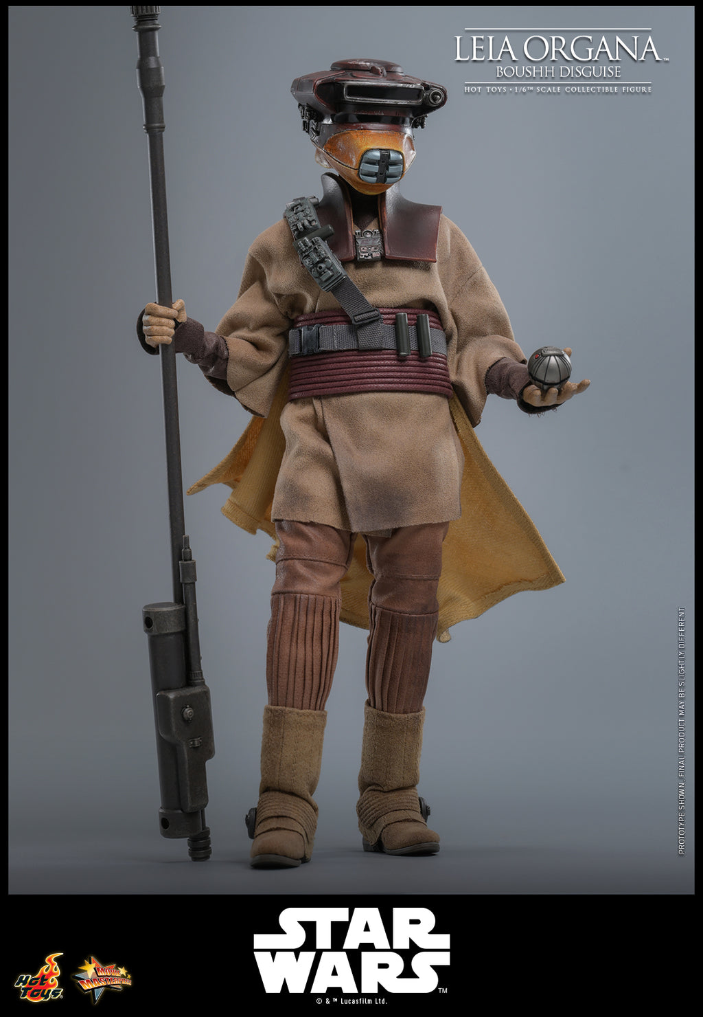 Leia Organa (Boushh Verkleidung)