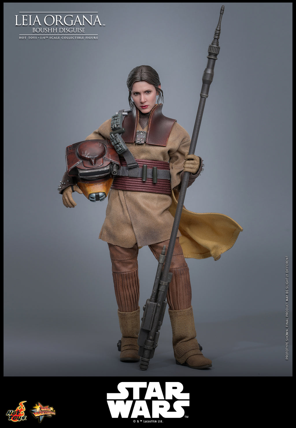Leia Organa (Boushh Verkleidung)