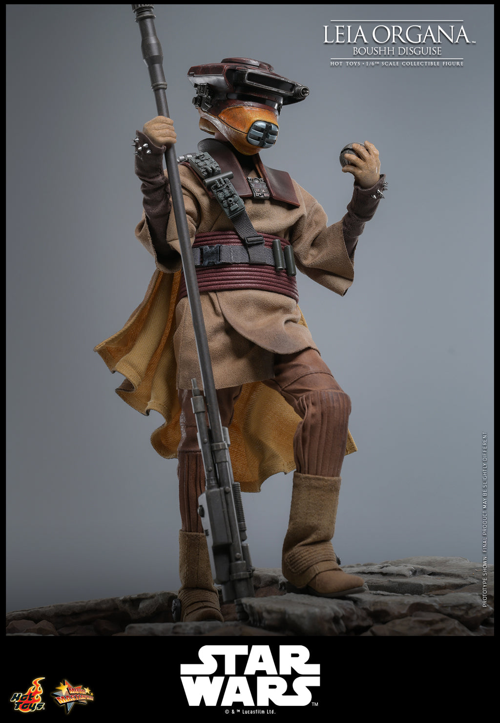 Leia Organa (Boushh Verkleidung)