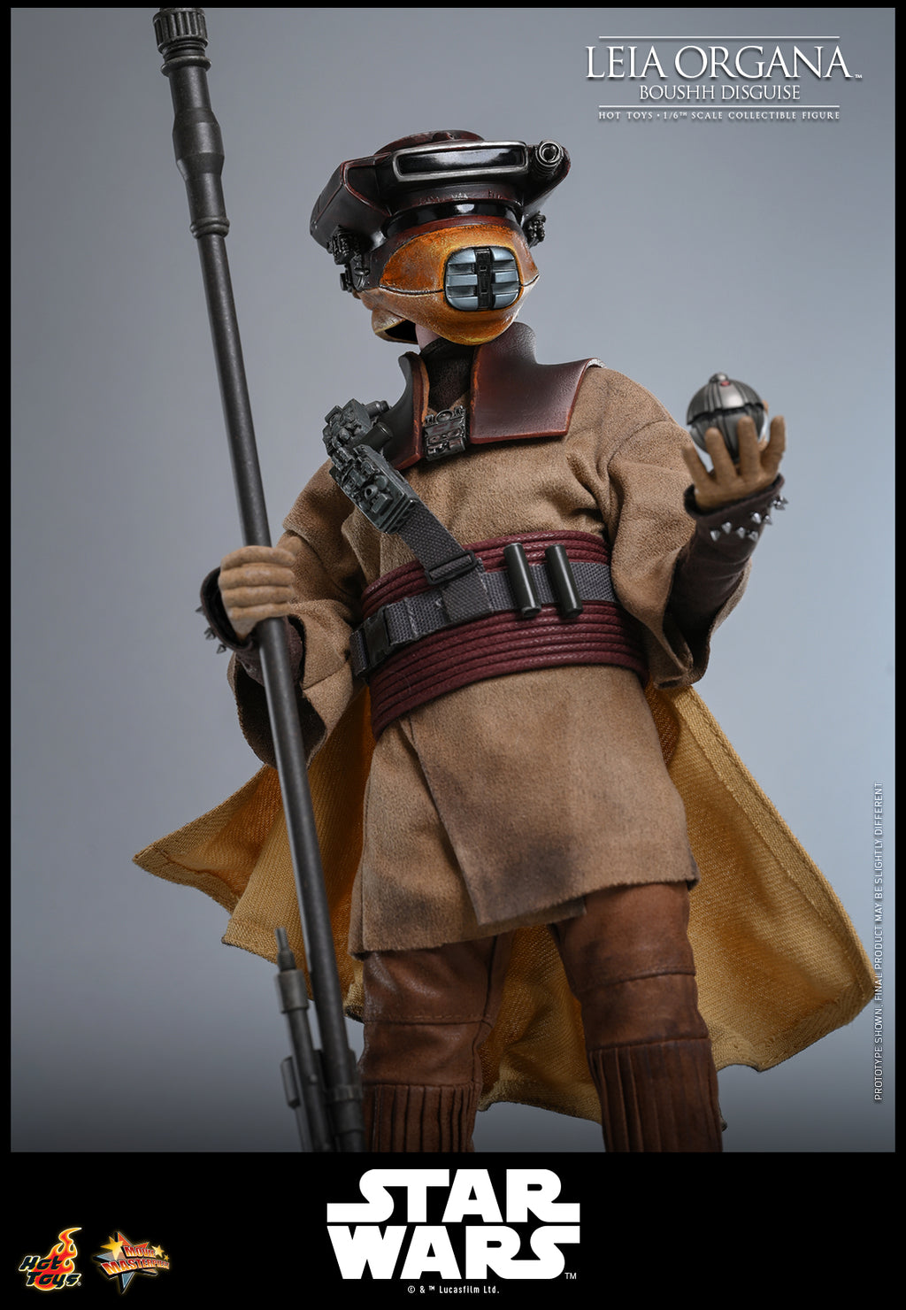 Leia Organa (Boushh Verkleidung)
