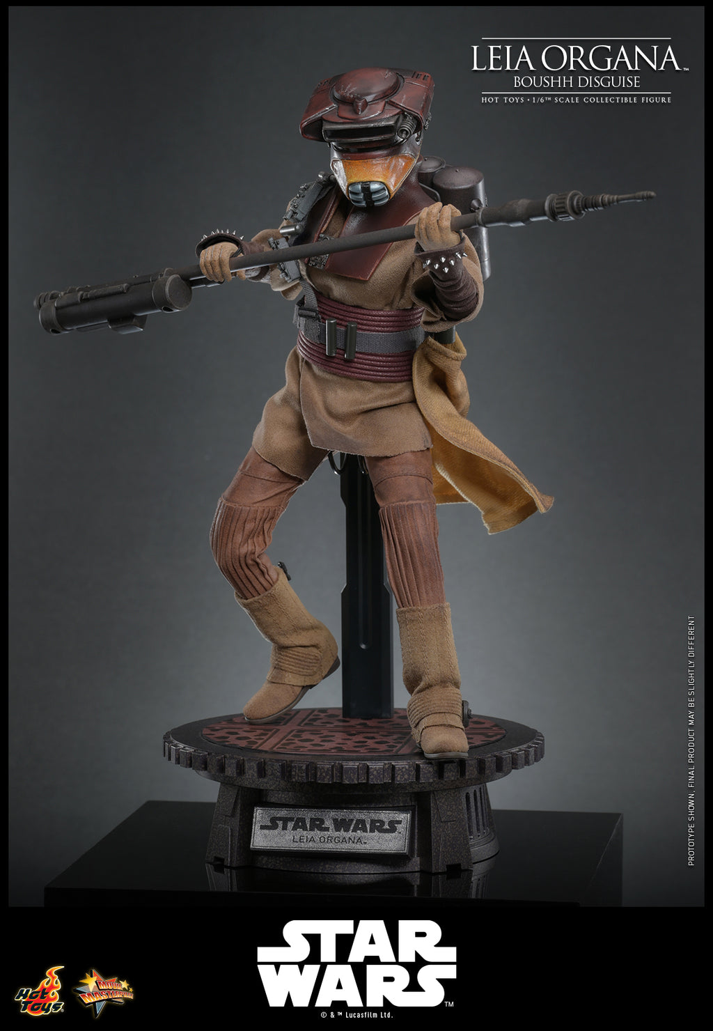 Leia Organa (Boushh Verkleidung)
